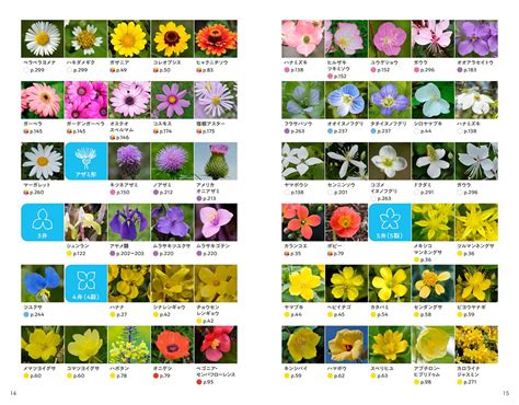 花種類|【花図鑑】花の種類・育て方・増やし方